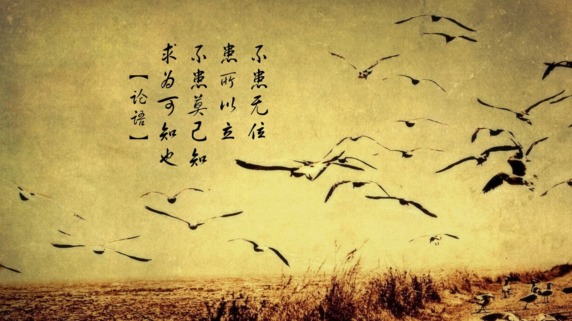 是否应强化球队与地方教育合作项目，是否应强化球队与地方教育合作项目的关系