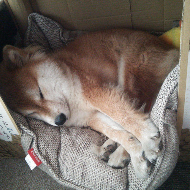 中国足球比赛判罚争议集中点,中国足球裁判网官网