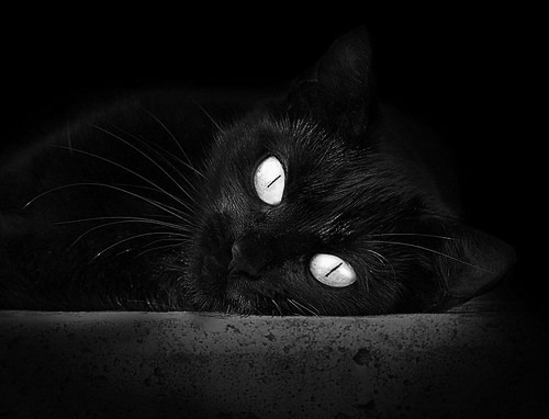 中超边后卫反向跑动与补位效率数据整合,中超 左后卫