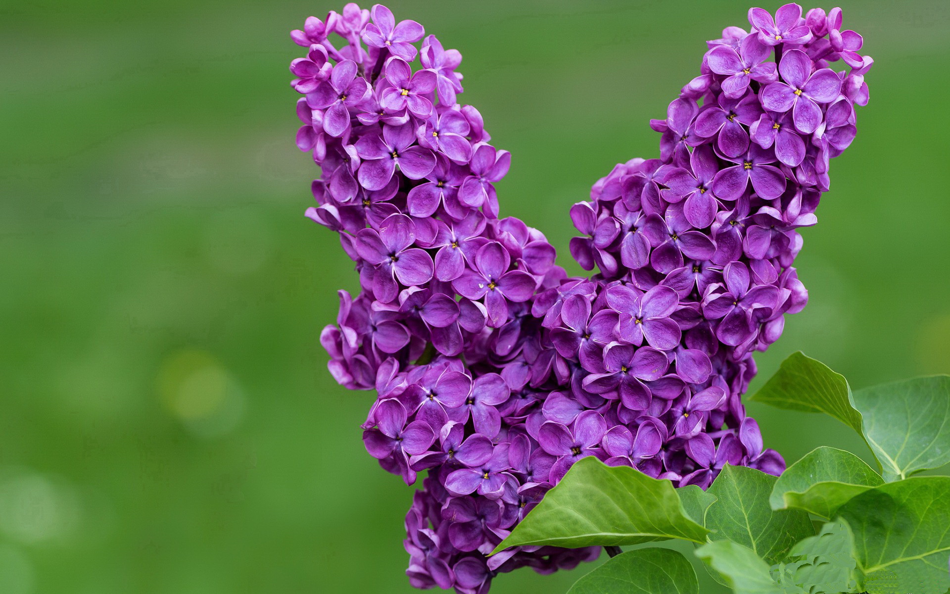 全国青少年花样滑冰赛掠影冬日青春,全国青少年花样滑冰锦标赛