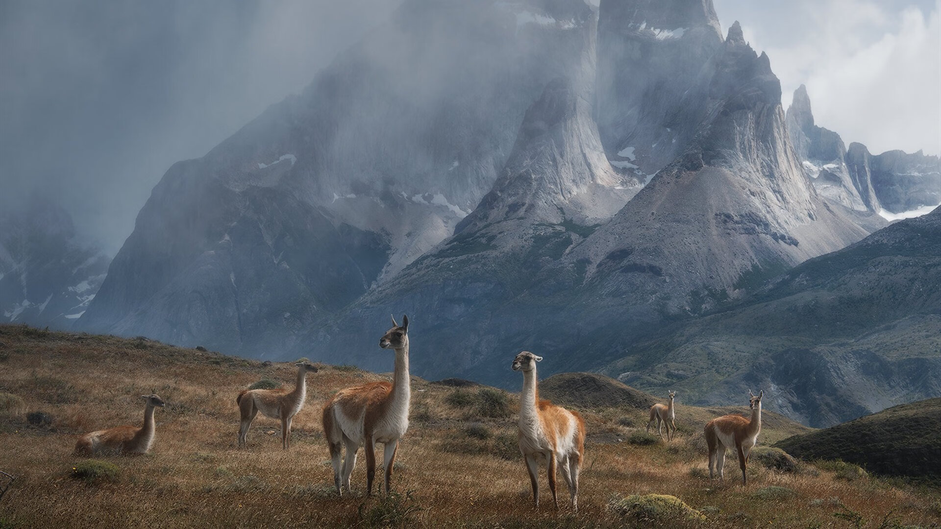 篮球专项技能动作稳定性提升研究,篮球运动技能
