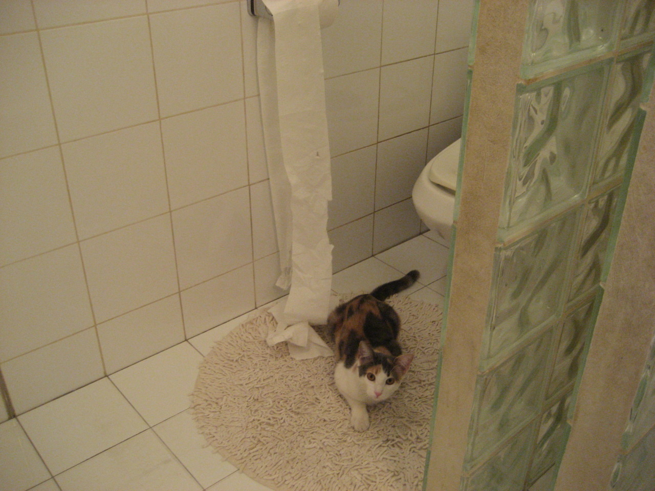 篮球运动员训练负荷监控及个性化调整技术开发研究,篮球运动员训练量