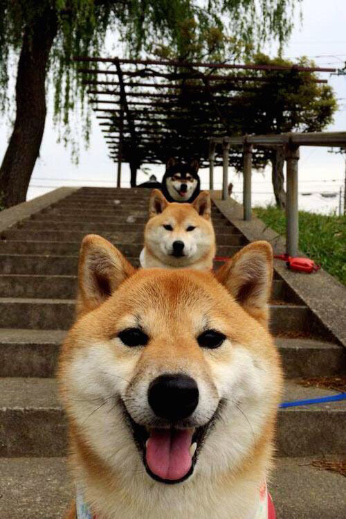 篮球运动员训练负荷动态监测与个性化调整,篮球项目负荷特征分析