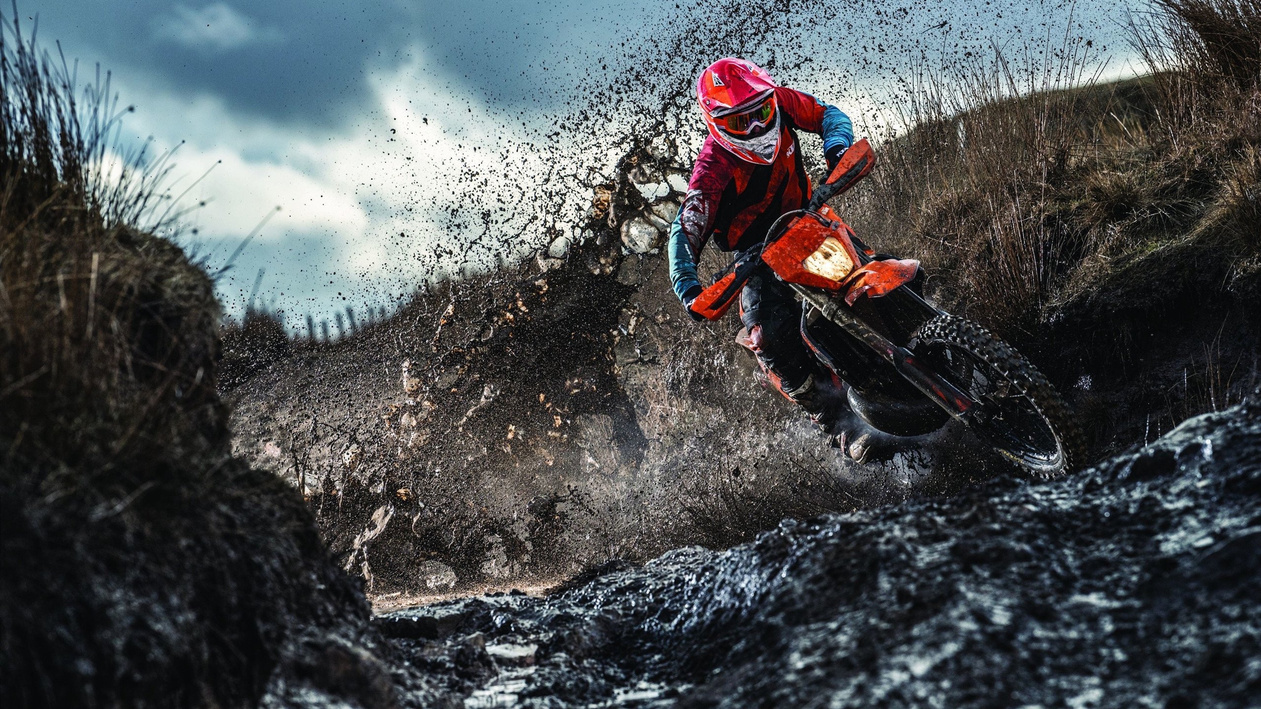 “彭尤蝶泳挑战世界纪录，中国泳坛新力量崛起”