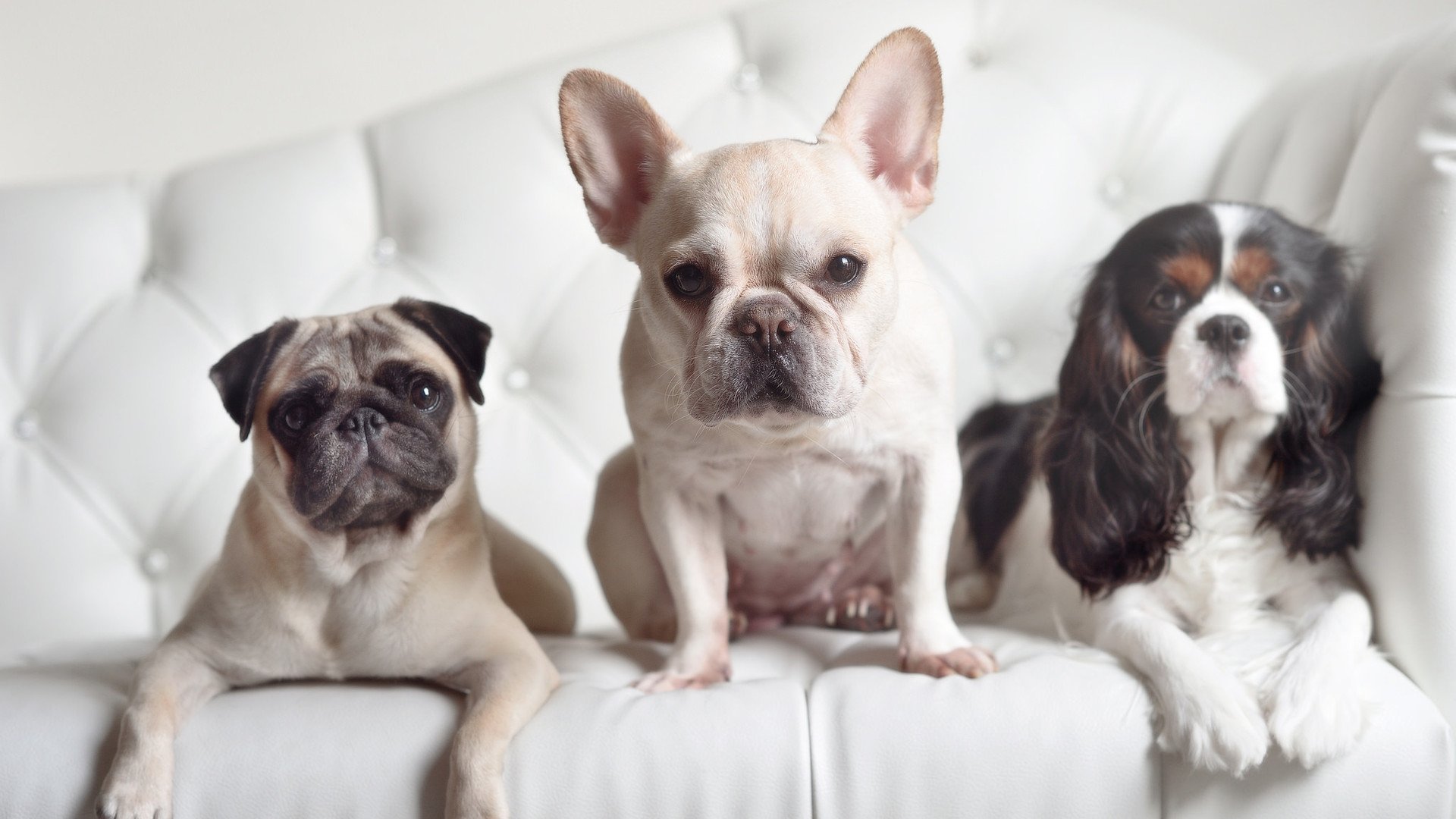 “速度与技巧！新都香城福乐球赛激烈进行”