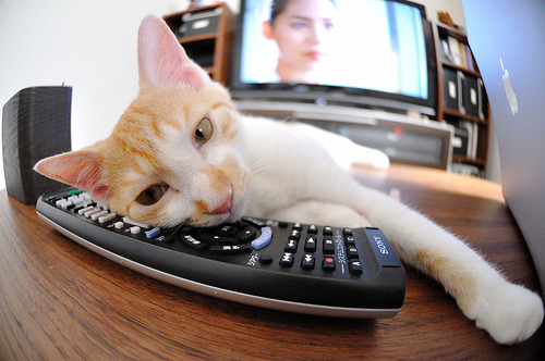 五大联赛锋线组合是否已呈现代际交替,五大联赛赛前分析