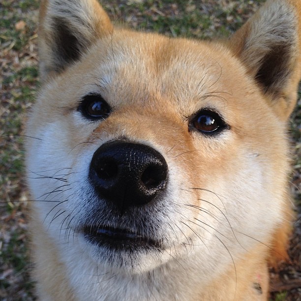 传控转换速度是否比控球时长更能决定比赛进程，传控足球适合什么阵型