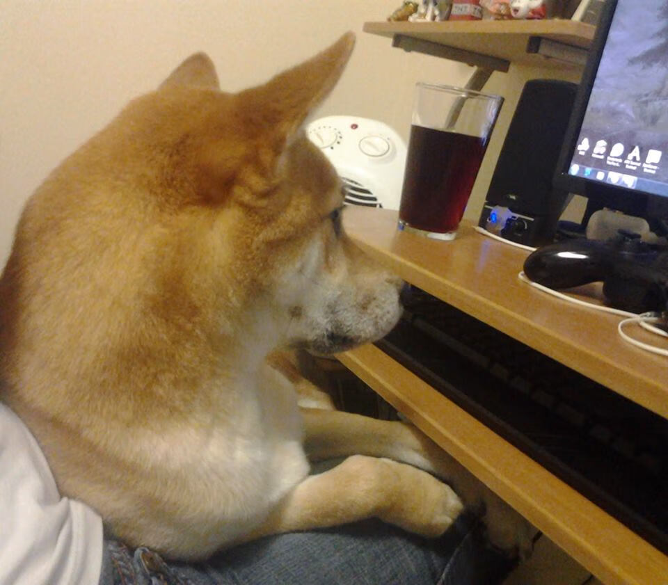 加拿大队在国际乒联混合团体世界杯中的技术创新与配合，加拿大国家队乒乓球